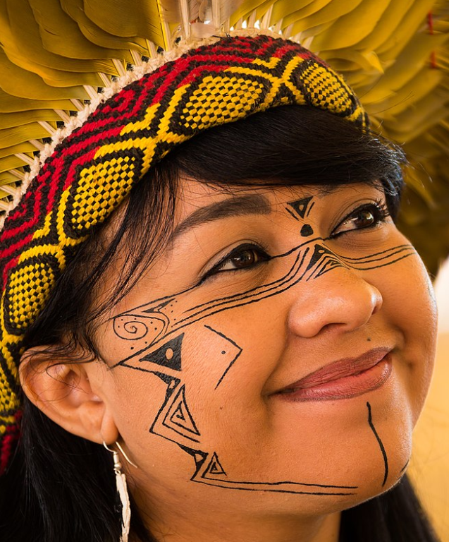 Imagem ilustrativa do curso História e Cultura Indígena e Afro-brasileira