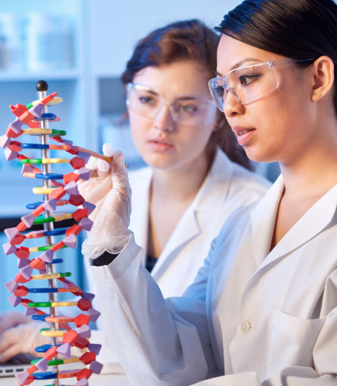 Imagem ilustrativa do curso Ensino de Biologia e Ciências