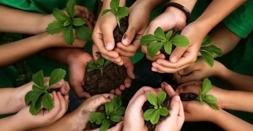 Imagem ilustrativa do curso Docência Na Educação Ambiental