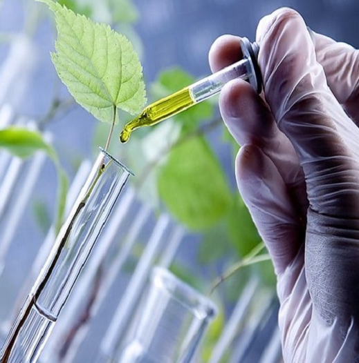 Imagem ilustrativa do curso Biotecnologia