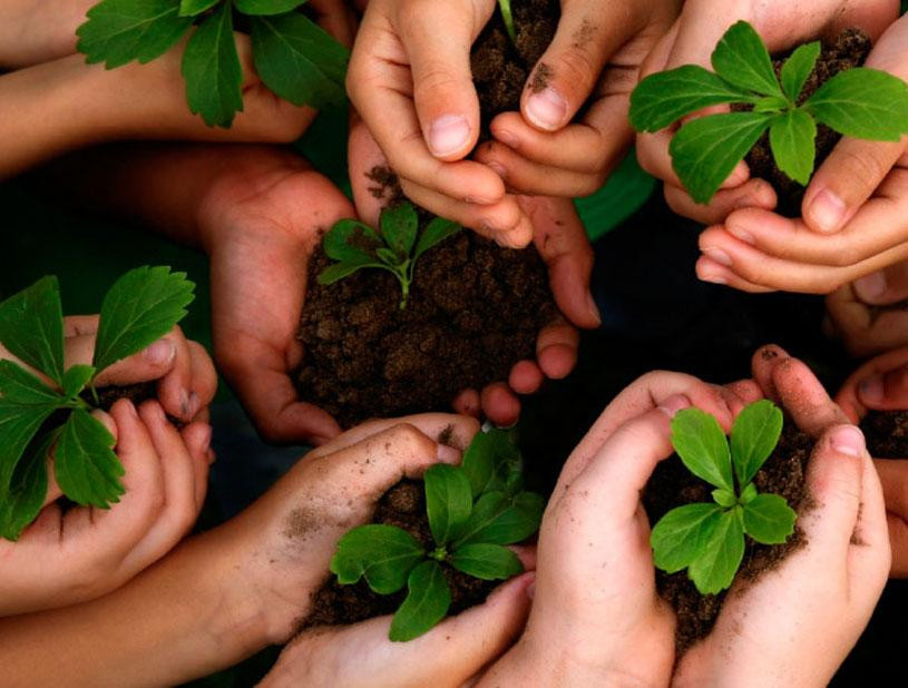 Imagem ilustrativa do curso Gestão de Equipes e Gestão Ambiental