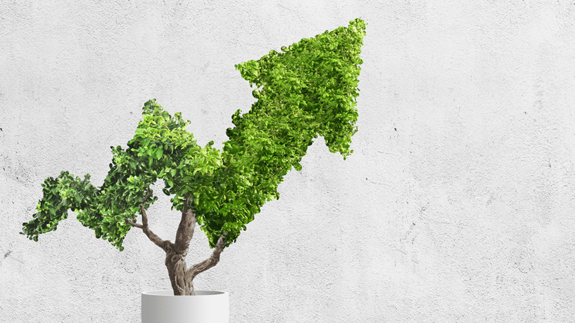 Imagem ilustrativa do curso Planejamento Empresarial e Gestão Ambiental