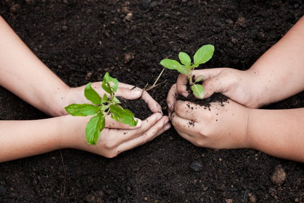 Imagem ilustrativa do curso Ecologia e Gestão Ambiental
