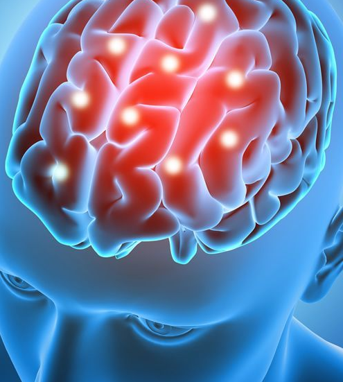 Imagem ilustrativa do curso Neuroanatomia