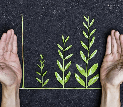 Imagem ilustrativa do curso Gestão Em Responsabilidade e Marketing Socioambiental
