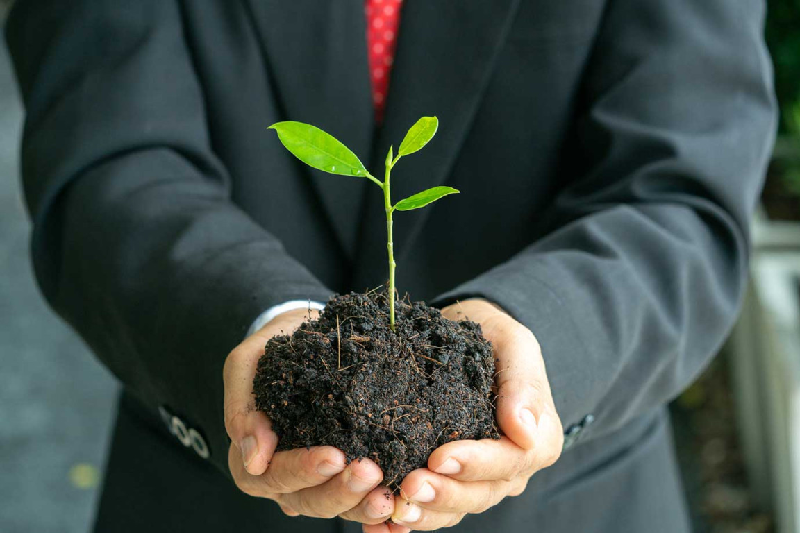 Imagem ilustrativa do curso Mba Executivo Em Gestão Ambiental