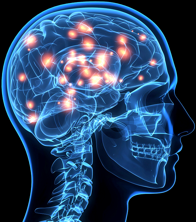 Imagem ilustrativa do curso Neurociência das Emoções Aplicada à Reabilitação