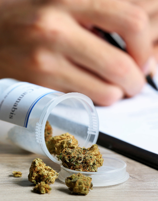 Imagem ilustrativa do curso Cannabis Medicinal