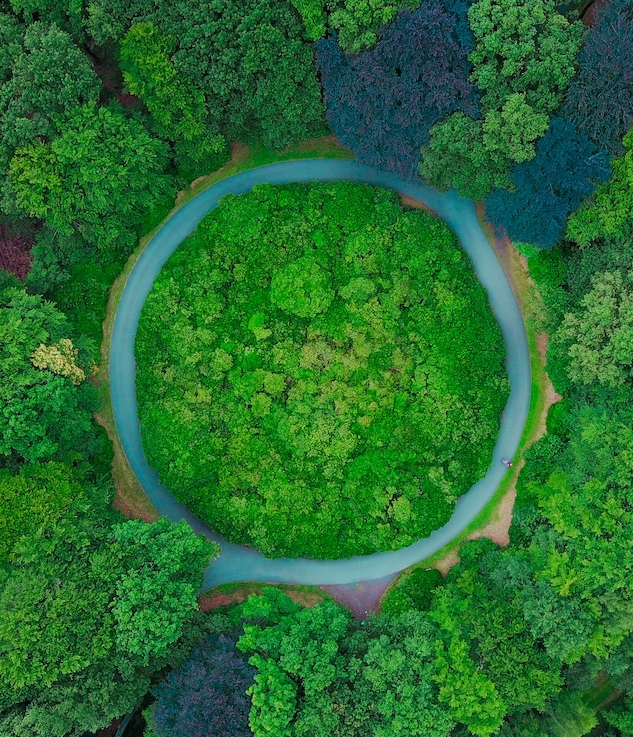 Imagem ilustrativa do curso Sistemas de Gestão Integrada de Qualidade, Segurança, Meio Ambiente e Sustentabilidade