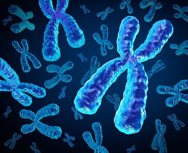 Imagem ilustrativa do curso Ensino da Ciências e Biologia