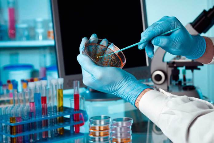 Imagem ilustrativa do curso Microbiologia
