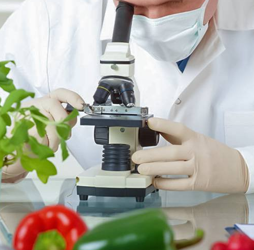 Imagem ilustrativa do curso Ciência e Tecnologia de Alimentos