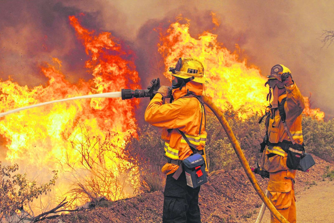 Imagem ilustrativa do curso Prevenção e Combate A Incêndios Florestais