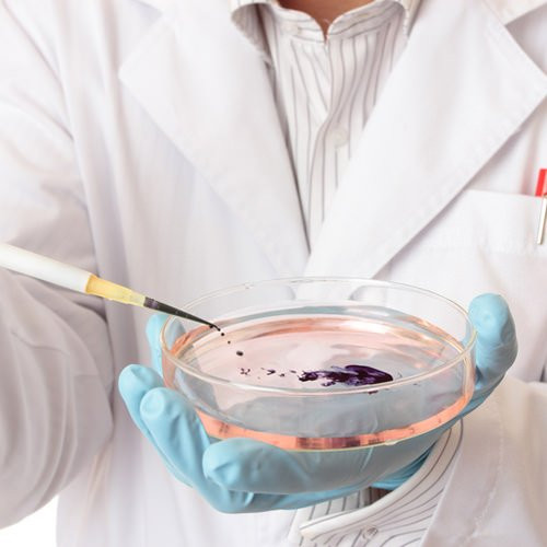 Imagem ilustrativa do curso Microbiologia Avançada e Clínica