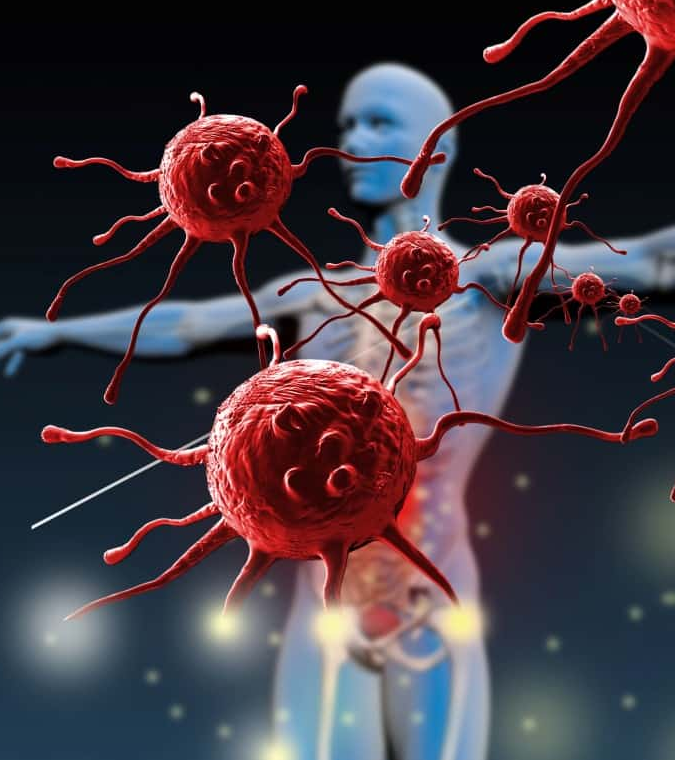 Imagem ilustrativa do curso Imunologia Básica e Avançada