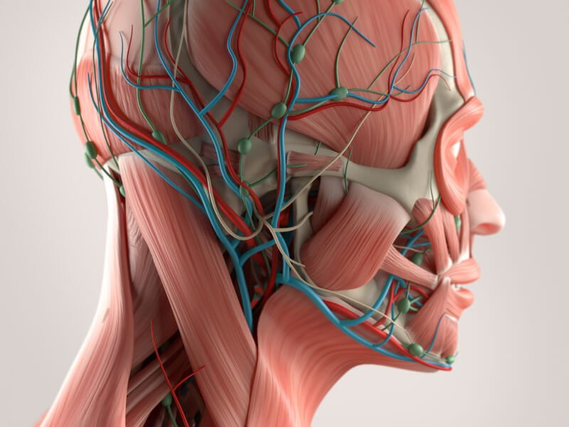 Imagem ilustrativa do curso Fisiopatologia Humana