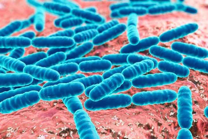Imagem ilustrativa do curso Microbiologia Clínica