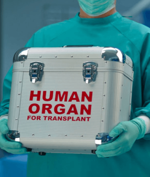 Imagem ilustrativa do curso Captação, Doação e Transplante de órgãos e Tecidos