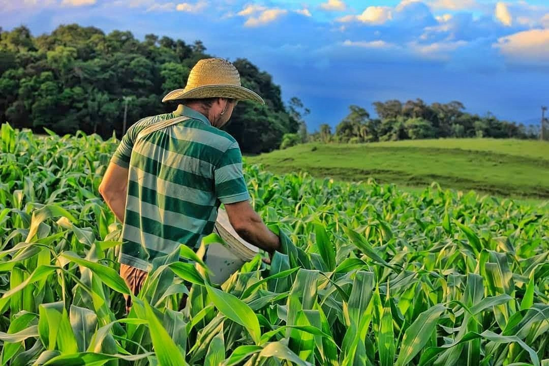 Imagem ilustrativa do curso Produção e Desenvolvimento Rural