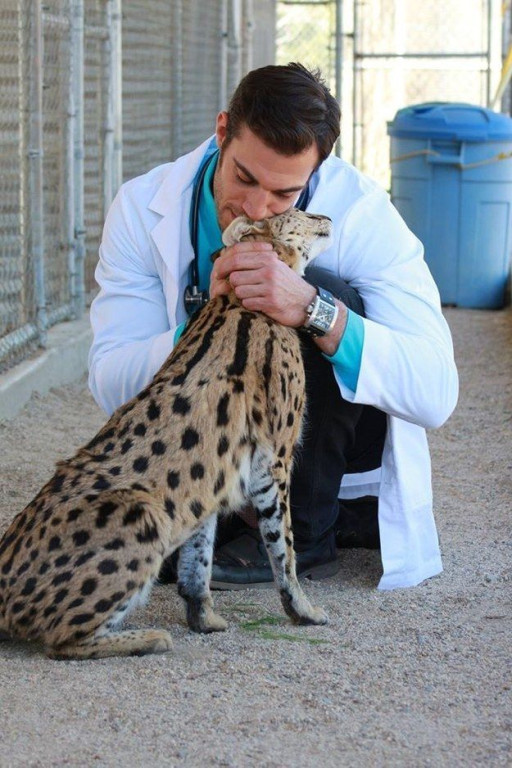 Imagem ilustrativa do curso Clínica Veterinária: Animais Selvagens