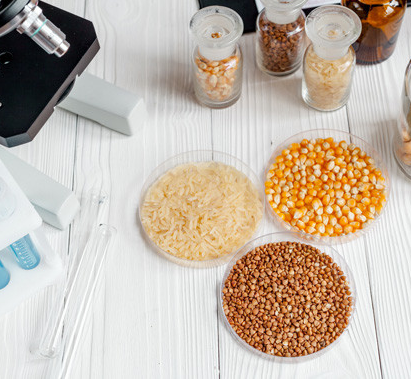 Imagem ilustrativa do curso Tecnólogo Em Alimentos