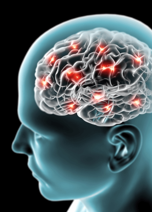 Imagem ilustrativa do curso Neurociência Clínica